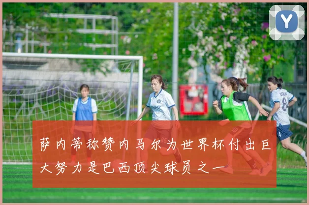 萨内蒂称赞内马尔为世界杯付出巨大努力是巴西顶尖球员之一